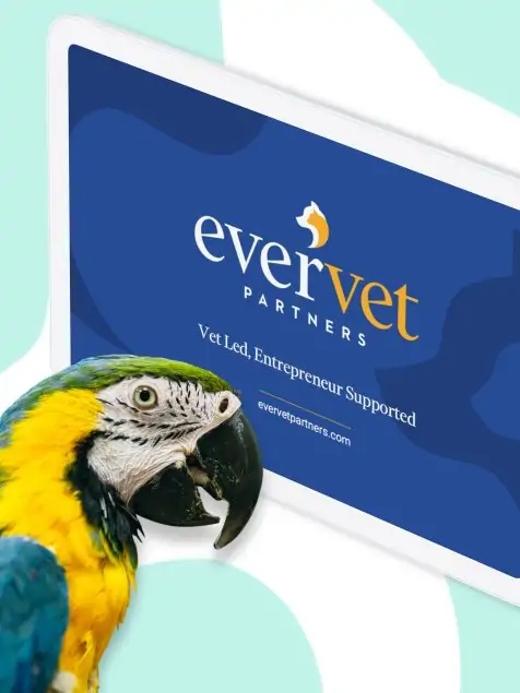 A colorful parrot head positioned in the bottom left corner of the image, with a tablet displayed in the center showing the Evervet Partners logo on the screen.